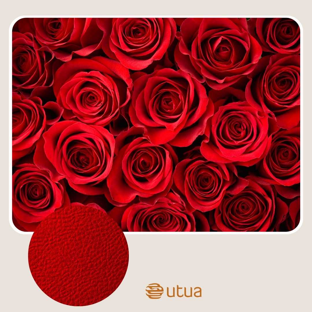 Punainen on upea väri nahkalaukulle.