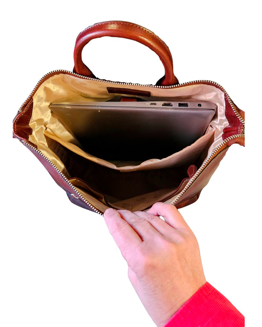 utua musta themis avoinna havainnekuva